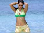 Kim Sharma