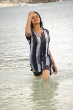 Vimala Raman