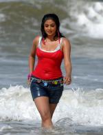 Priyamani Iyer