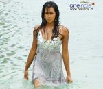 Sanjana aka Tulip Joshi