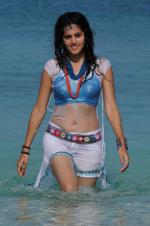 Taapsee  Pannu