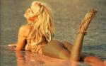 Pamela Anderson