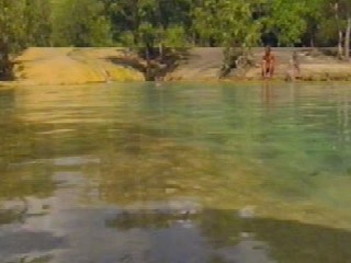 Swiss Family Robinson