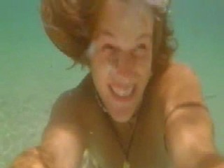 Swiss Family Robinson