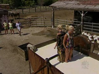 Fear Factor. Blonde Twins submerged in Lard