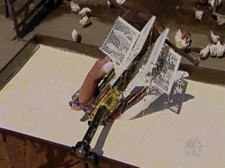 Fear Factor. Blonde Twins submerged in Lard