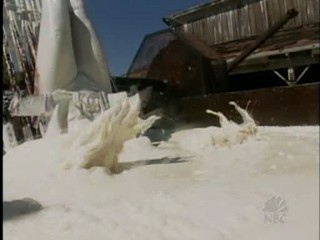 Fear Factor. Blonde Twins submerged in Lard