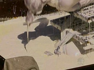 Fear Factor. 2 Brunettes submerged in Lard