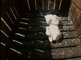 Fear Factor. 2 Brunettes submerged in Lard