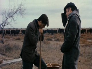 Belle de Jour Mud (Bondage)