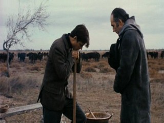 Belle de Jour Mud (Bondage)