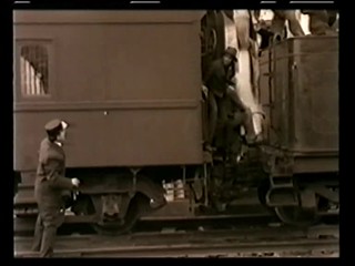 Sally of the Sawdust