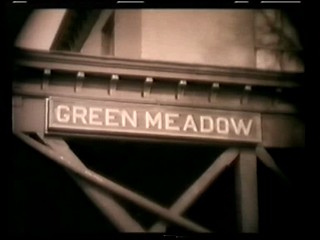 Sally of the Sawdust