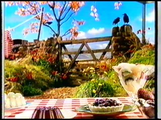  Anchor Cream Swirls Ad 1996 