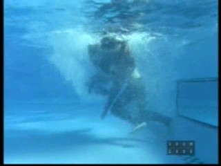 Halifax f.p. - Deja Vu