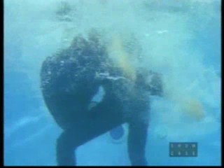 Halifax f.p. - Deja Vu