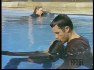 Halifax f.p. - Deja Vu