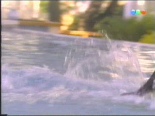 Costumbres Argentinas (2003)