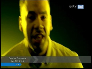 Music video Wildes Ding