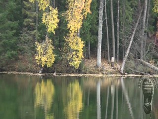 Cheerfully spent wet day