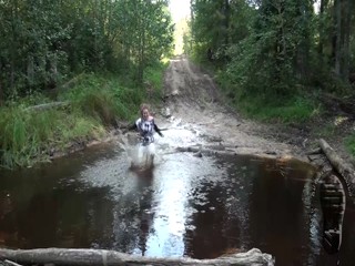 Muddy summer evening