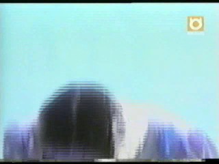 Sin Cities - Wamtec Pie Shoots