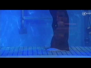 Unterwasser-Orchester - Frag die Maus