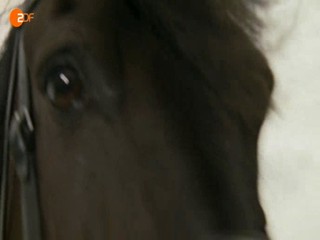 Rosamund Pilcher - 4 Jahreszeiten