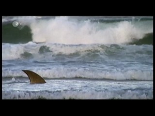 Kreuzfahrt ins Glueck - Australien