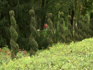 The Fountains of Peterhof