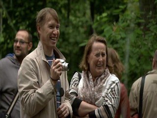 The Fountains of Peterhof