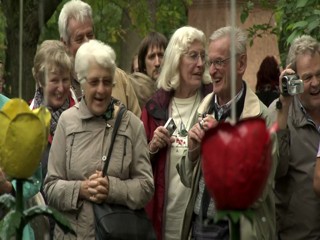 The Fountains of Peterhof