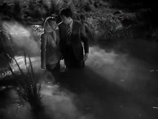 Don Camillo und Peppone 