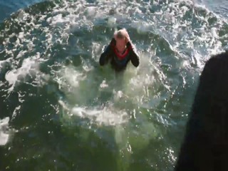 Inga LindstroÌˆm Das Postboot in den SchaÌˆren