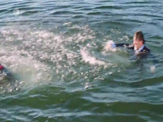 Inga LindstroÌˆm Das Postboot in den SchaÌˆren