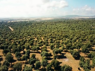 Ein Sommer in Salamanca