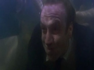 Danny Deckchair - pool scene