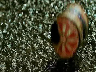 Love Me If You Dare (2003)