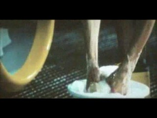 Traumschiff Surprise (Periode 1) -  car wash