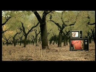 DJ Sammy feat Loona - Rise Again