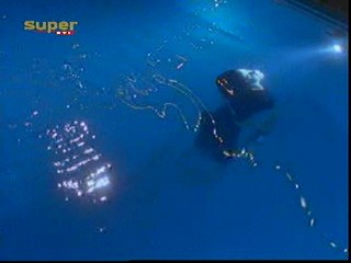 Die Sünden einer Nacht (1996)