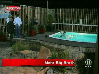 German Big Brother 5 - Franziska fully clothed in the pool