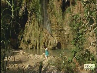 Das blaue Paradise 1982