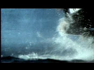 Matthew Good Band - Load Me Up