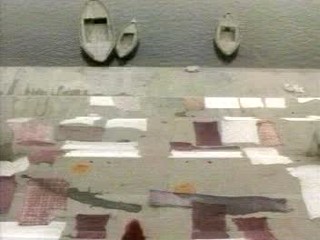 The Peacock Spring (1996)