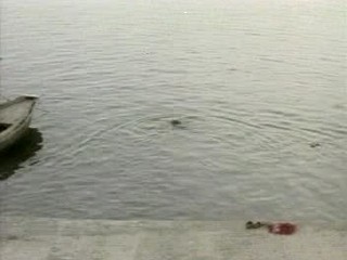 The Peacock Spring (1996)