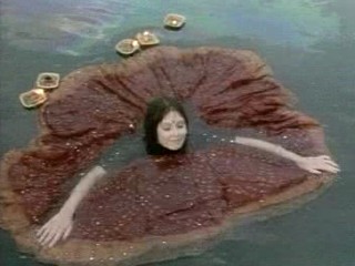 The Peacock Spring (1996)