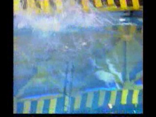 Le BigDil Show - May 11, 2004