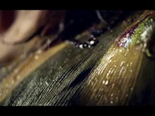 Electrolux Raindrops Tumbler add