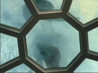 Unter weissen Segeln - German movie